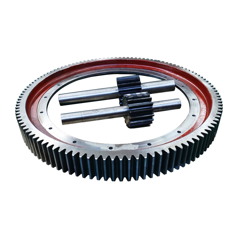Large Spur Gear 